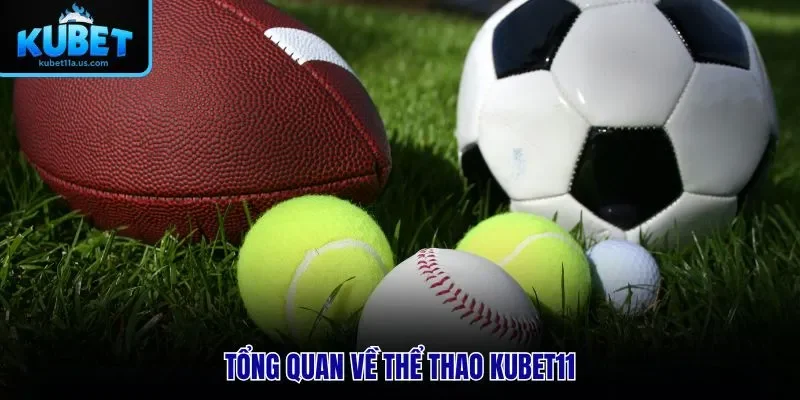 Tổng quan về thể thao KUBET11