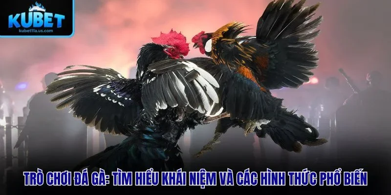 Trò chơi đá gà