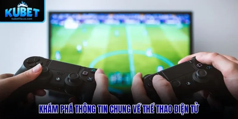 Khám phá thông tin chung về Esports điện tử